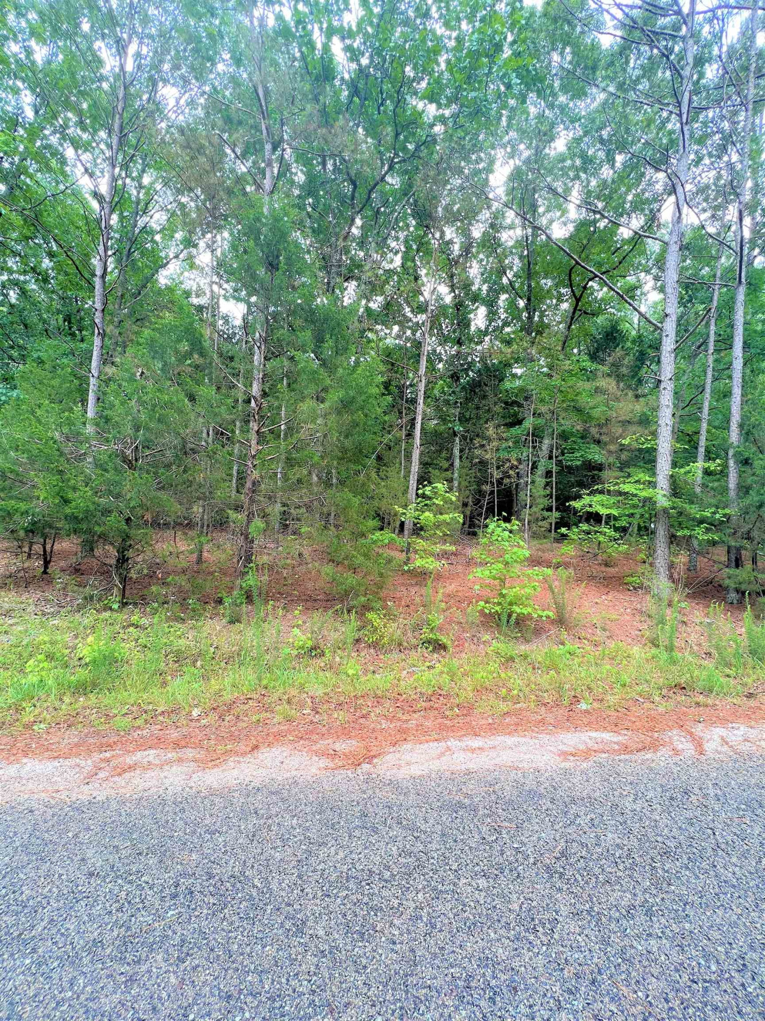 2.7-acres Old Hart Road Lexington, TN 38351 - Photo 6 of 9 Photo 6