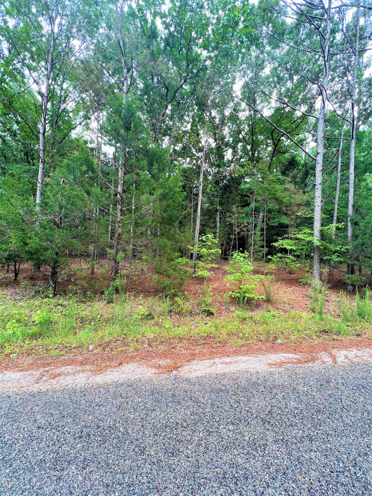 2.7-acres Old Hart Road Lexington, TN 38351 - Photo 7 of 9 Photo 7