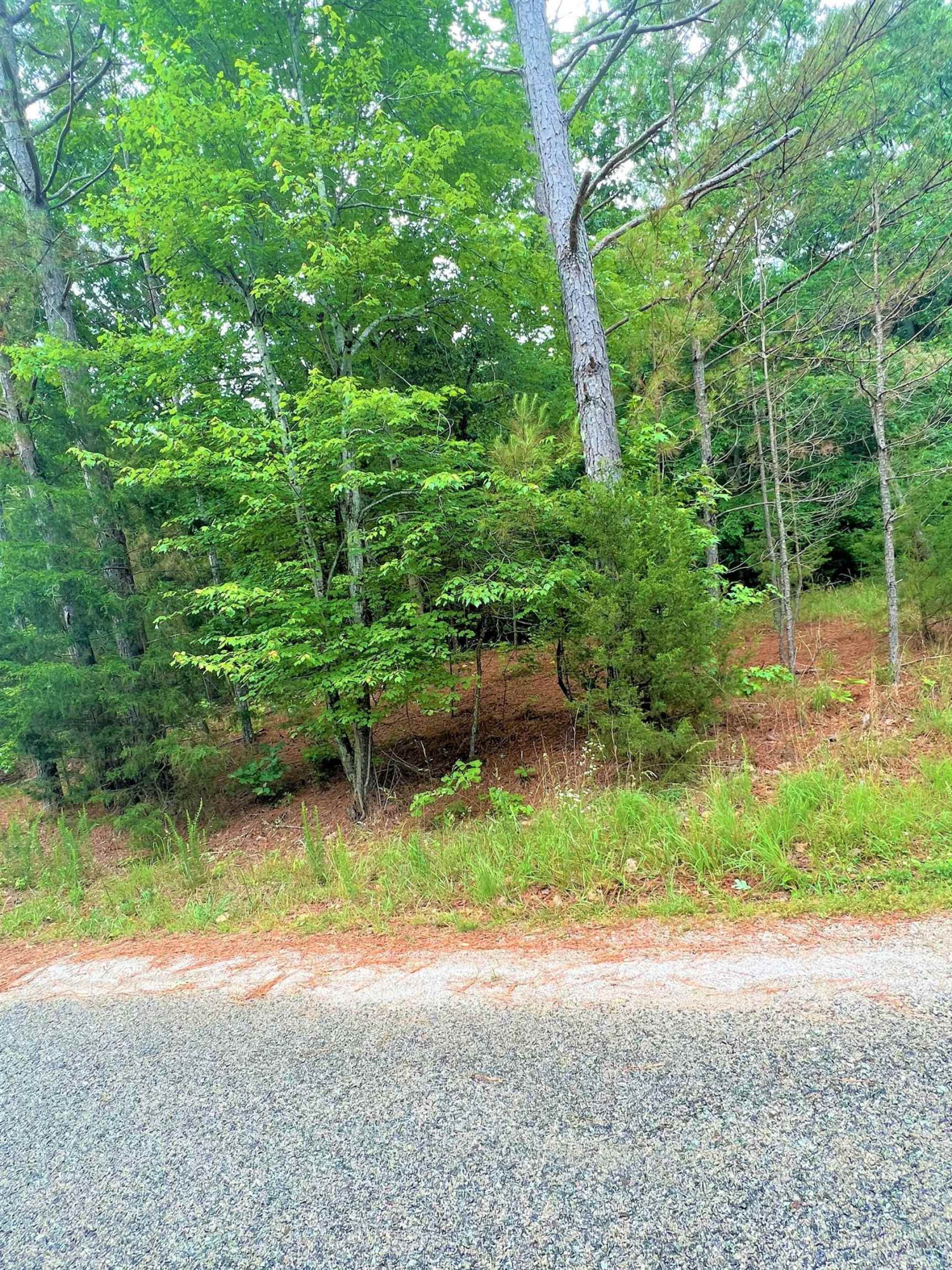 2.7-acres Old Hart Road Lexington, TN 38351 - Photo 8 of 9 Photo 8