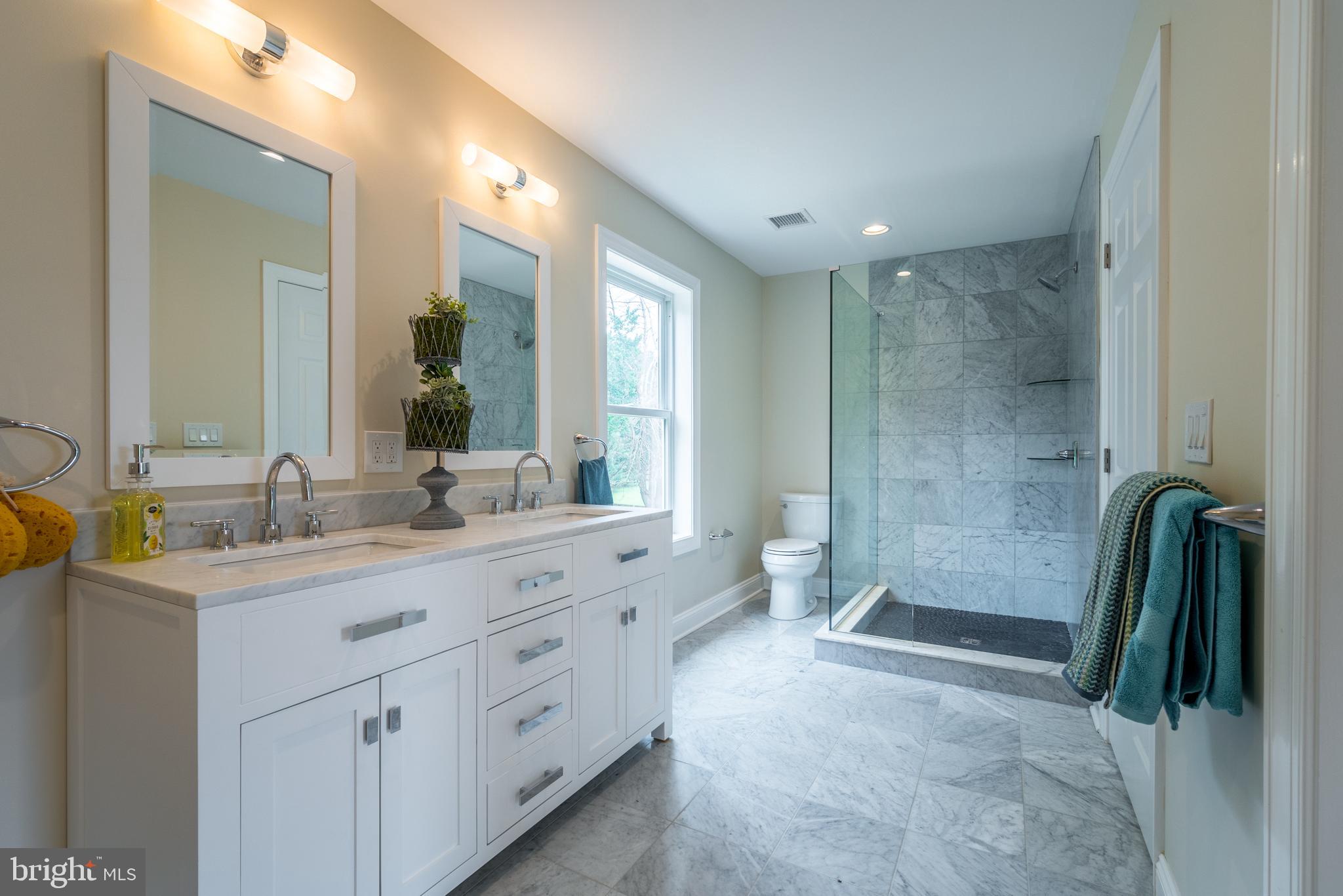 396 South Post Road Princeton Junction, NJ 08550 - Photo 13 of 21 Walk in Shower with Frameless Glass