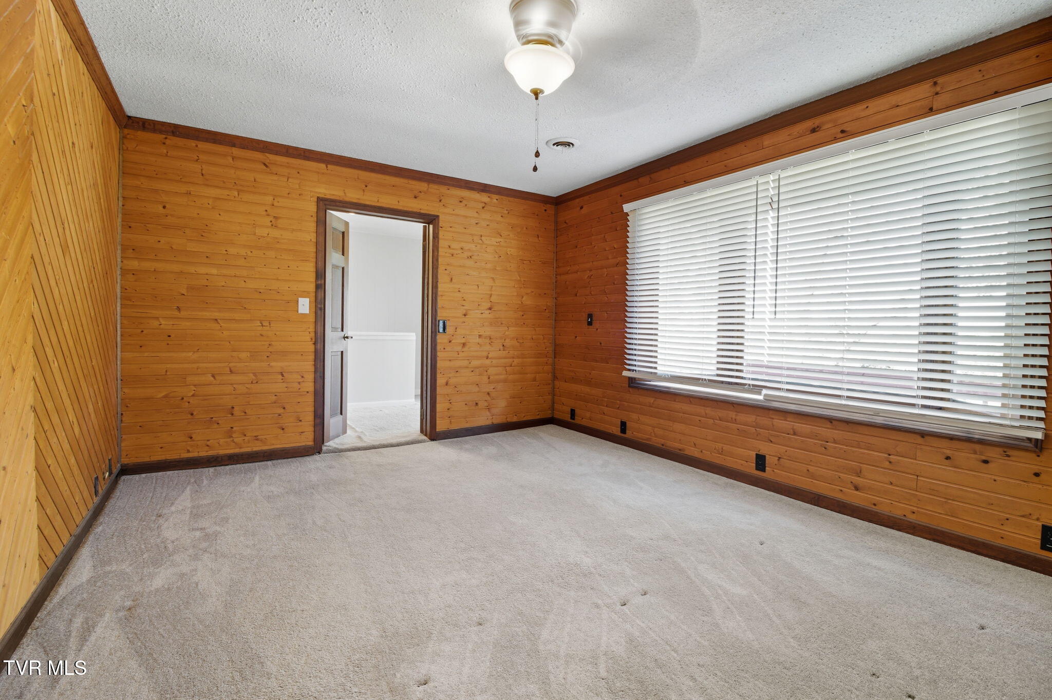 102 Perry Street Greeneville, TN 37745 - Photo 13 of 26 15-web-or-mls-DZ3A5529