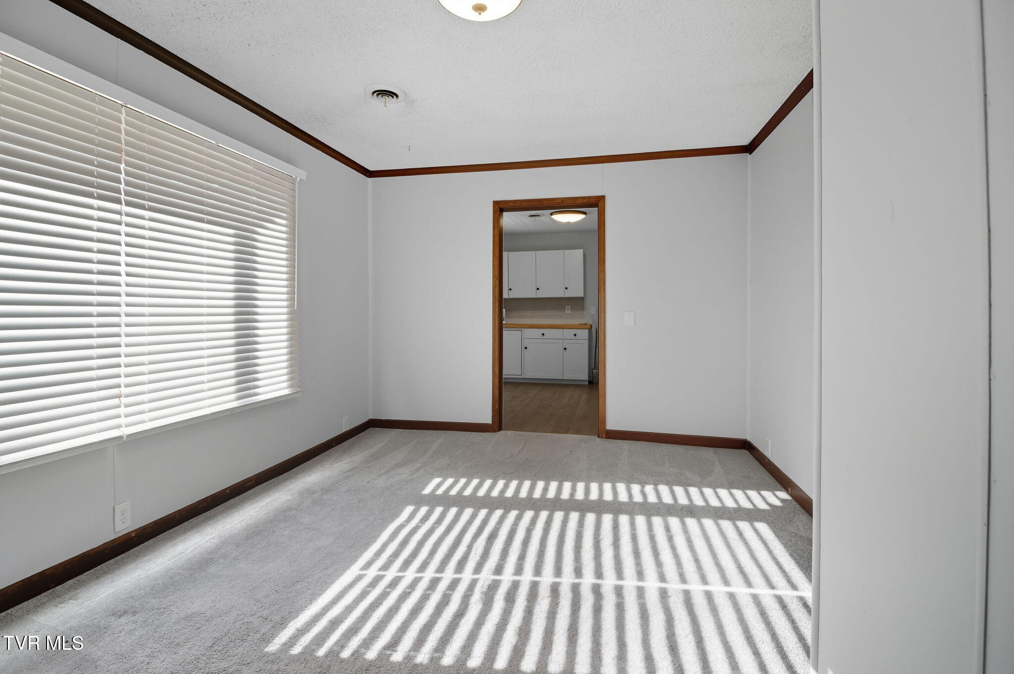 102 Perry Street Greeneville, TN 37745 - Photo 6 of 26 11-web-or-mls-DZ3A5513