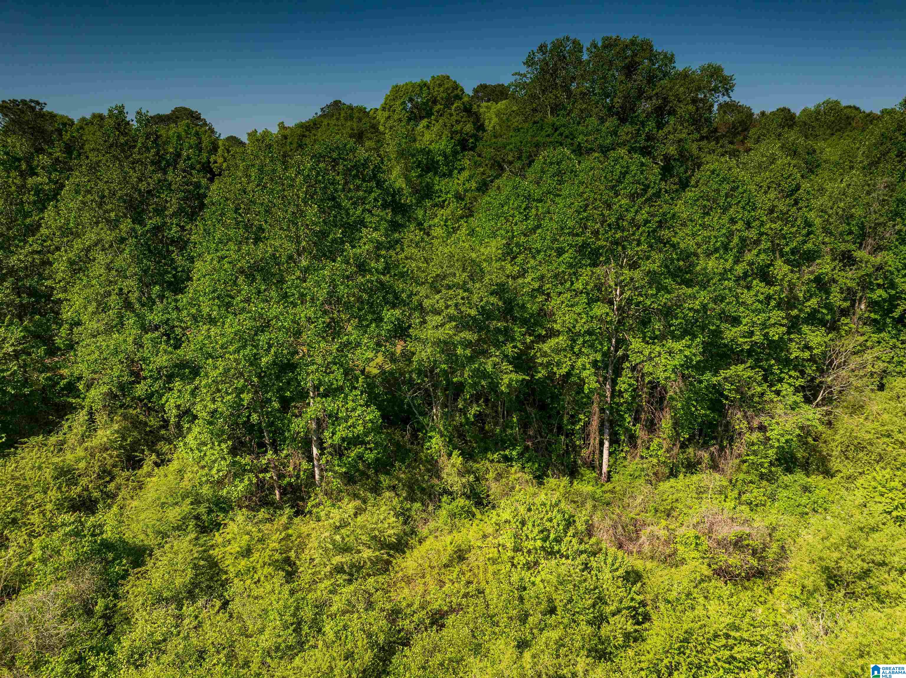 Off Of Joe Brackett Road, Unit X Jasper, AL 35504 - Photo 25 of 26