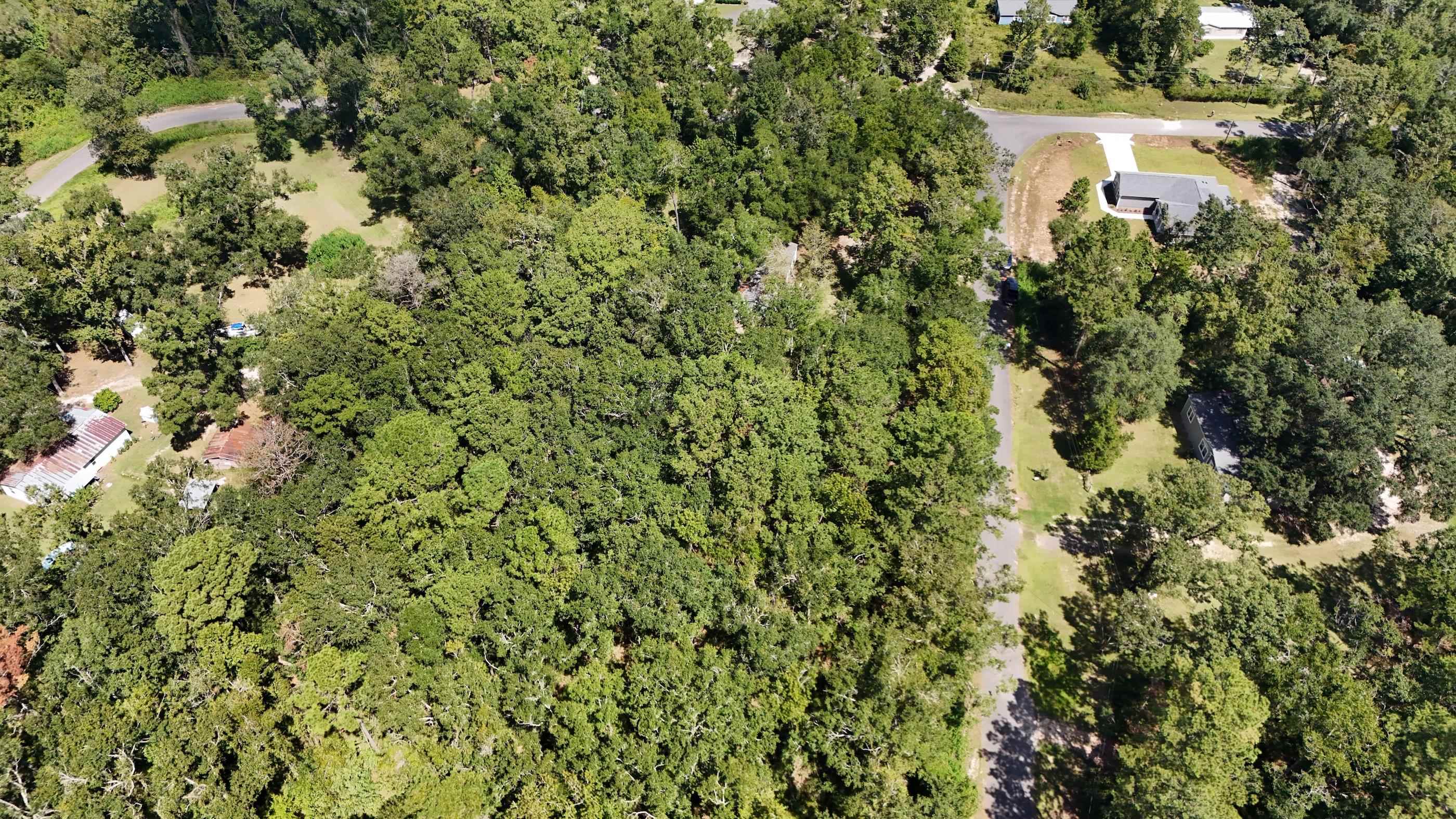 40 Westview Lane Monticello, FL 32344 - Photo 3 of 9