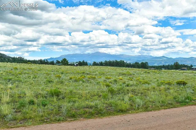a view of an outdoor space and a yard
