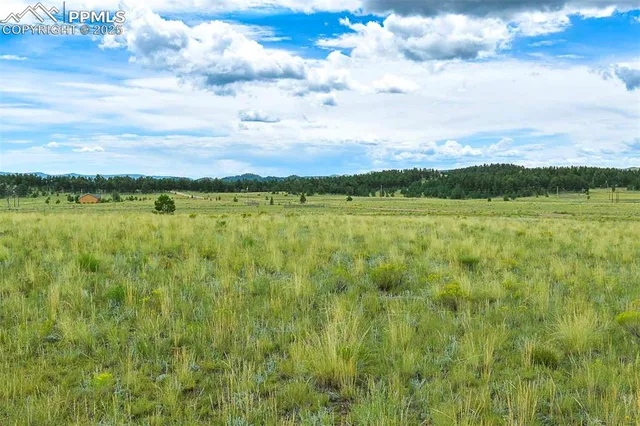 a view of lake with green space