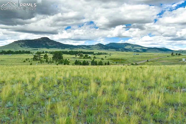 a view of a yard with an trees