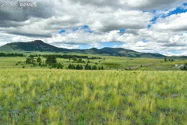 a view of an outdoor space and a yard
