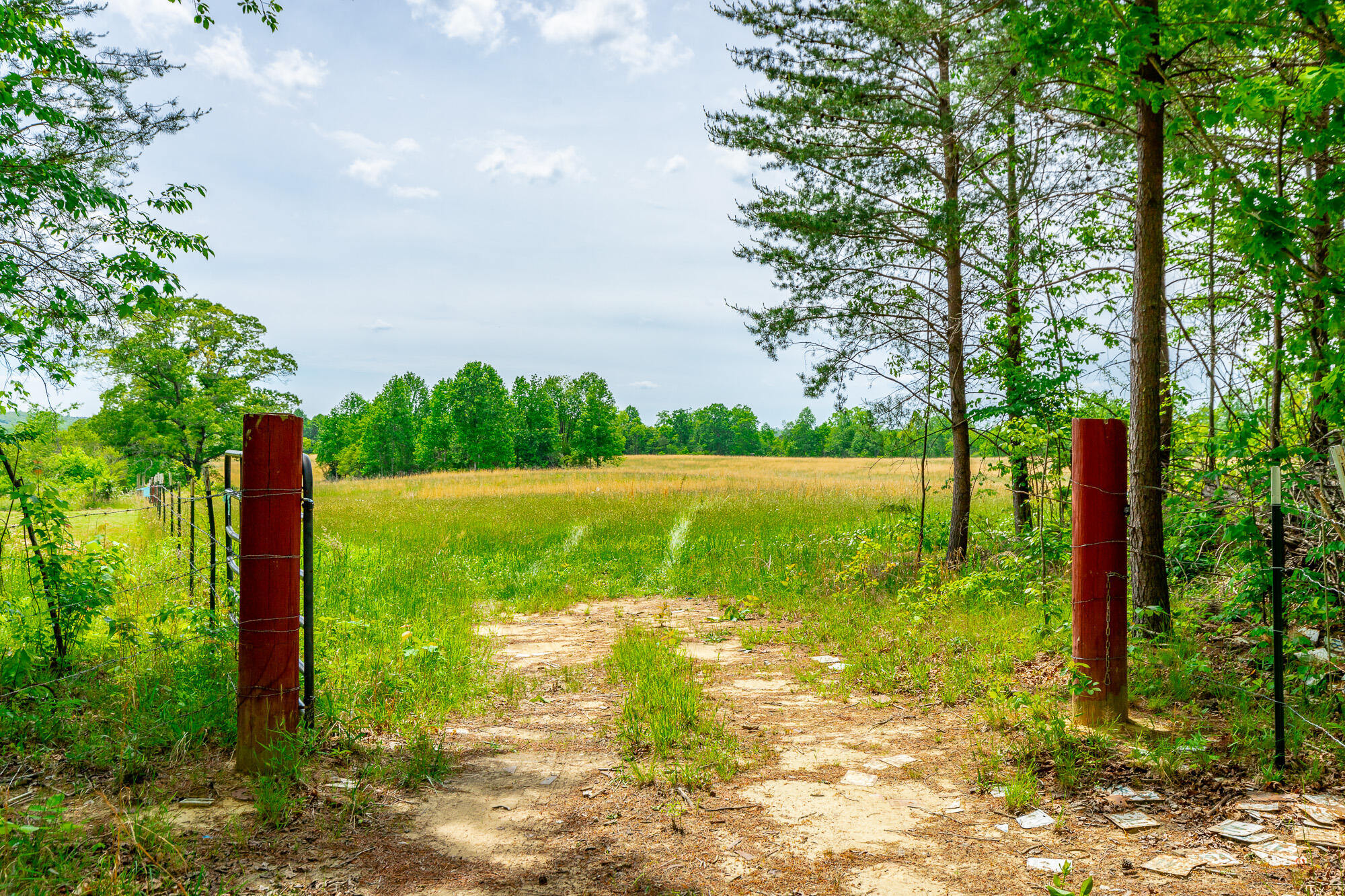 0 Ray Gadd Road Graysville, TN 37338 - Photo 63 of 109 Ray Gadd Road Lot HD-55