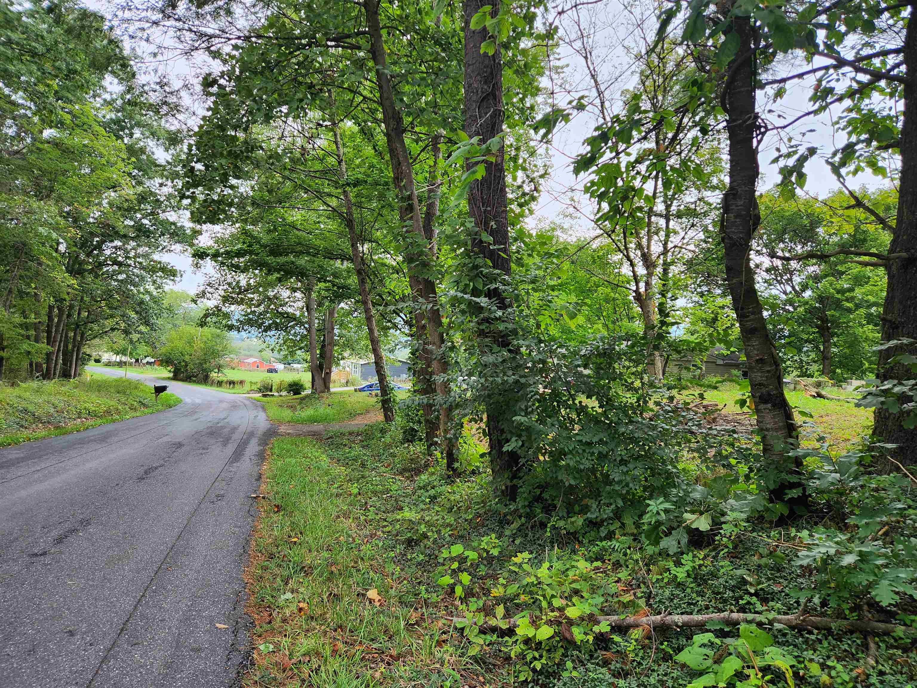 16871 Sapling Ridge Road Elkton, VA 22827 - Photo 4 of 28 Gallery Image 4