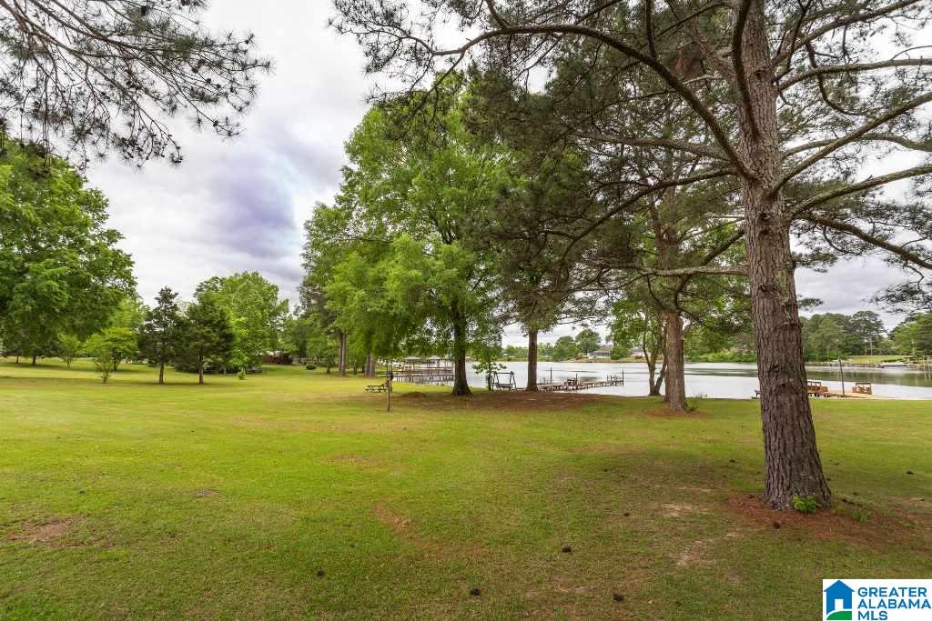 2305 Blue Springs Road Cropwell, AL 35054 - Photo 45 of 50