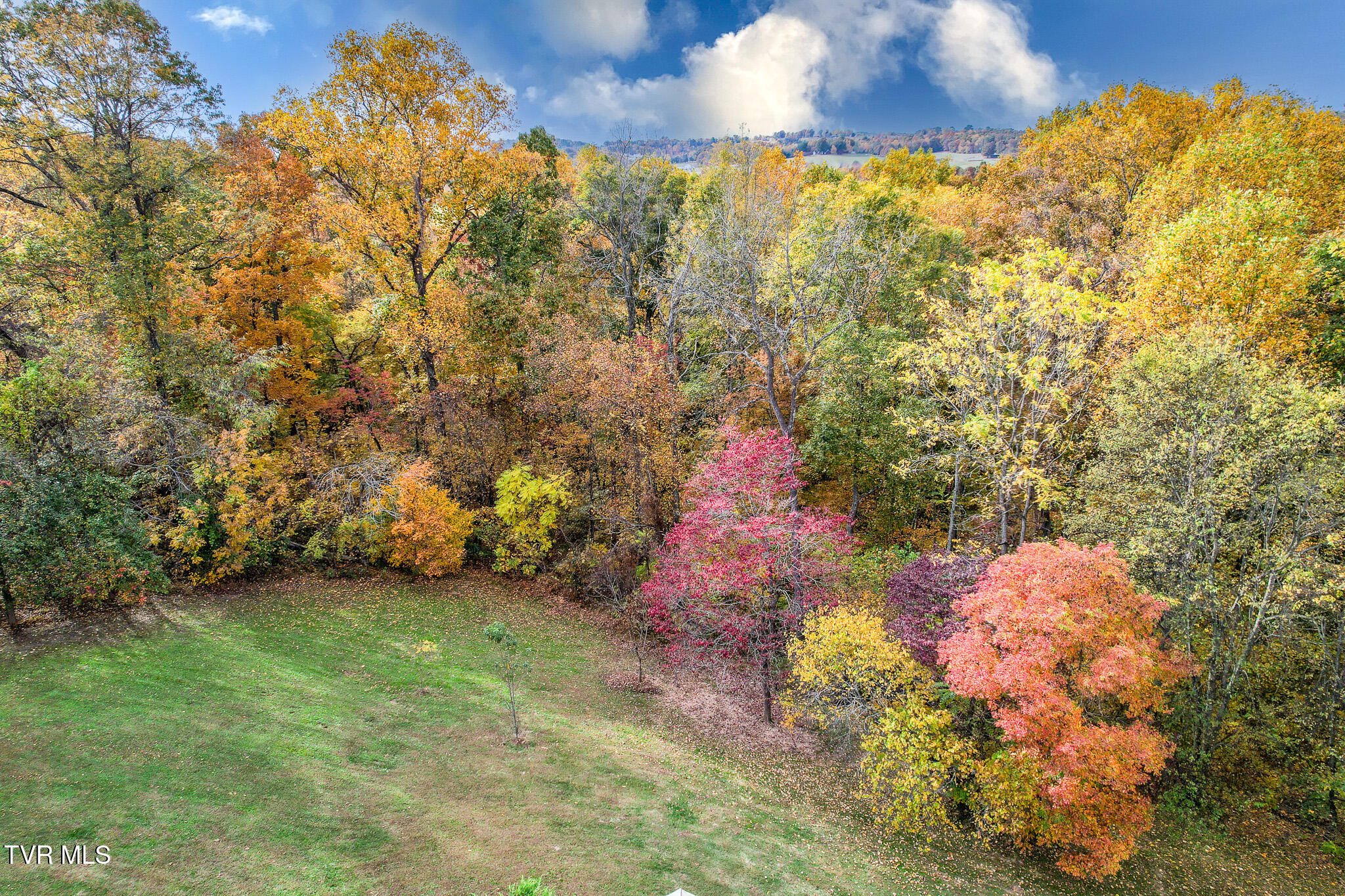 570 Leonard Road Greeneville, TN 37743 - Photo 70 of 85 DJI_0059-Edit