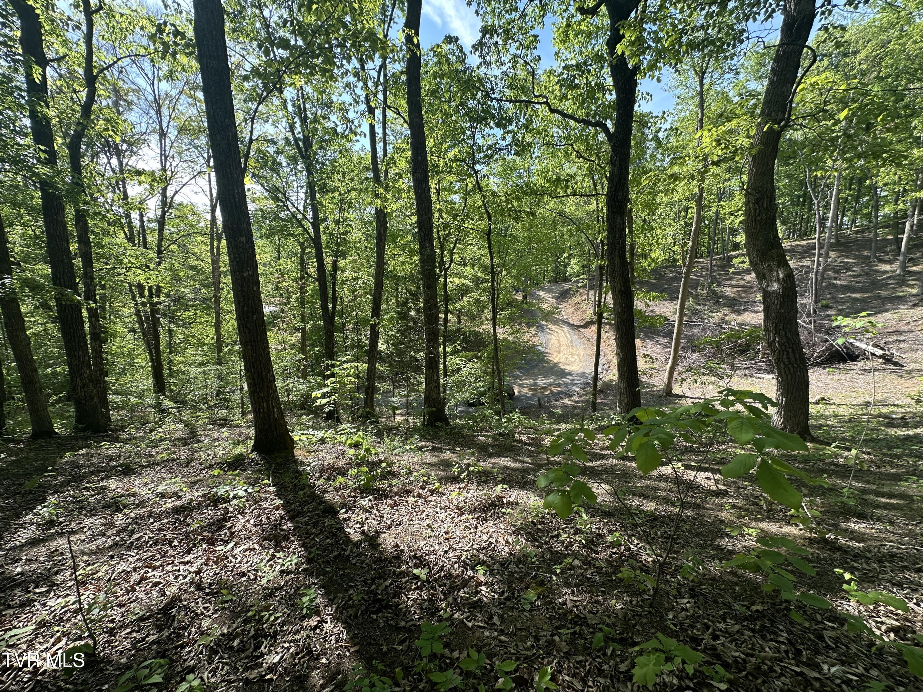 0 Deerfoot Road Cosby, TN 37722 - Photo 2 of 4 IMG_2248