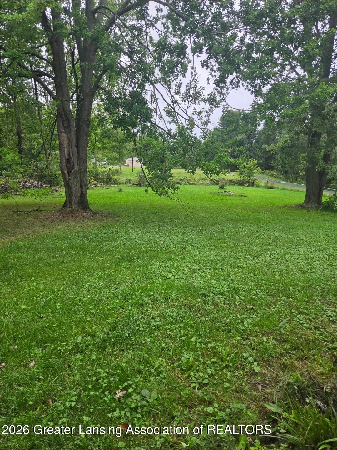 1075 North Michigan Road Eaton Rapids, MI 48827 - Photo 10 of 17 Backyard