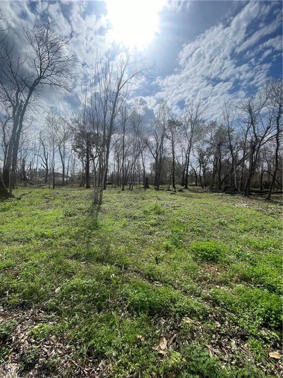 10117 North Kelly Lane Waggaman, LA 70094 - Photo 4 of 4