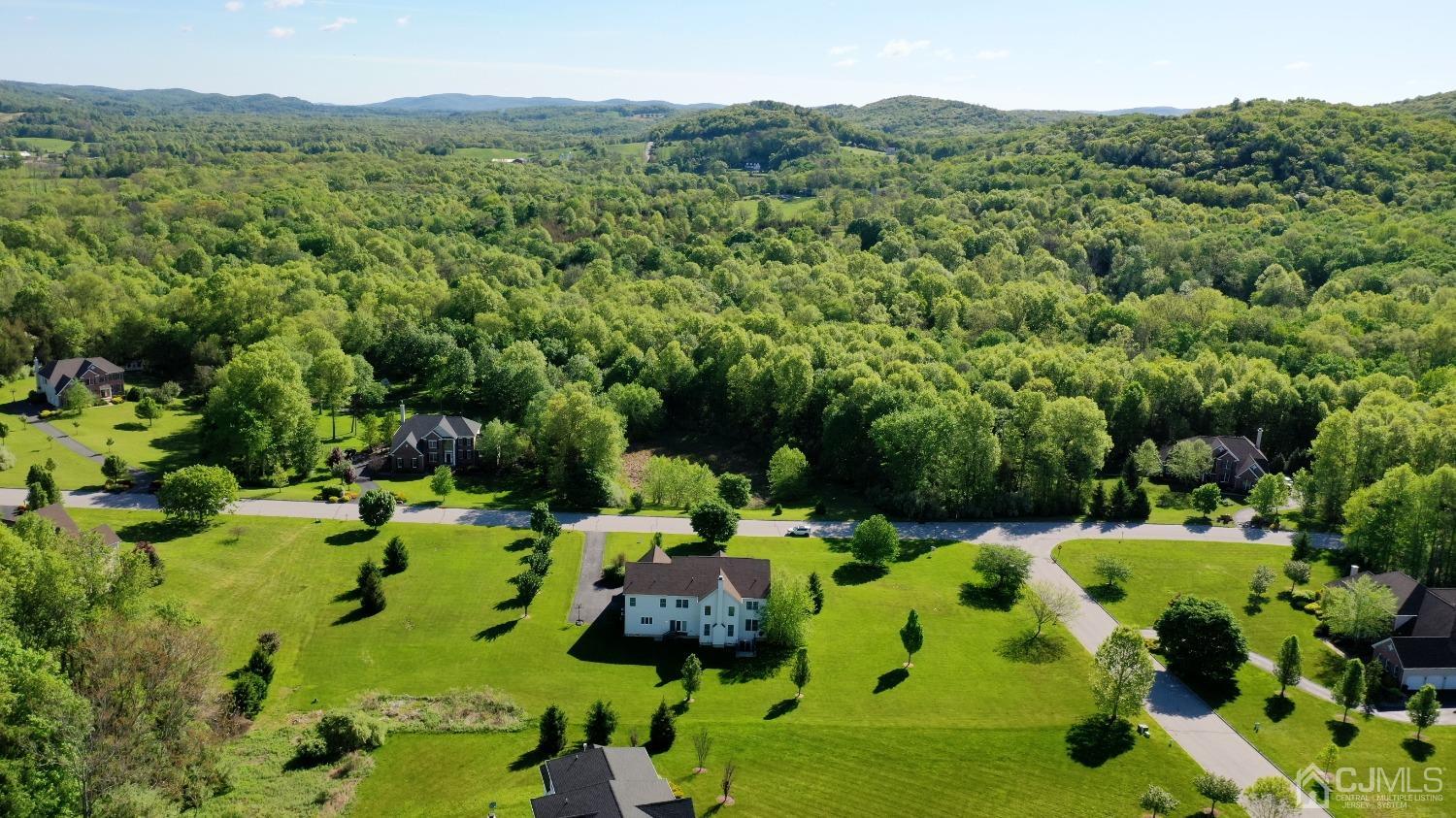 12 High Ridge Lane Augusta, NJ 07822 - Photo 8 of 49 a garden with lots of trees and flowers