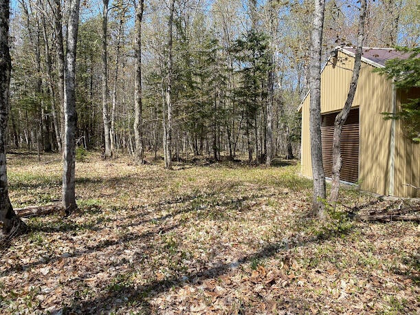 21887 Ridge Road Grand Marais, MI 49839 - Photo 32 of 46 Gallery Image 32