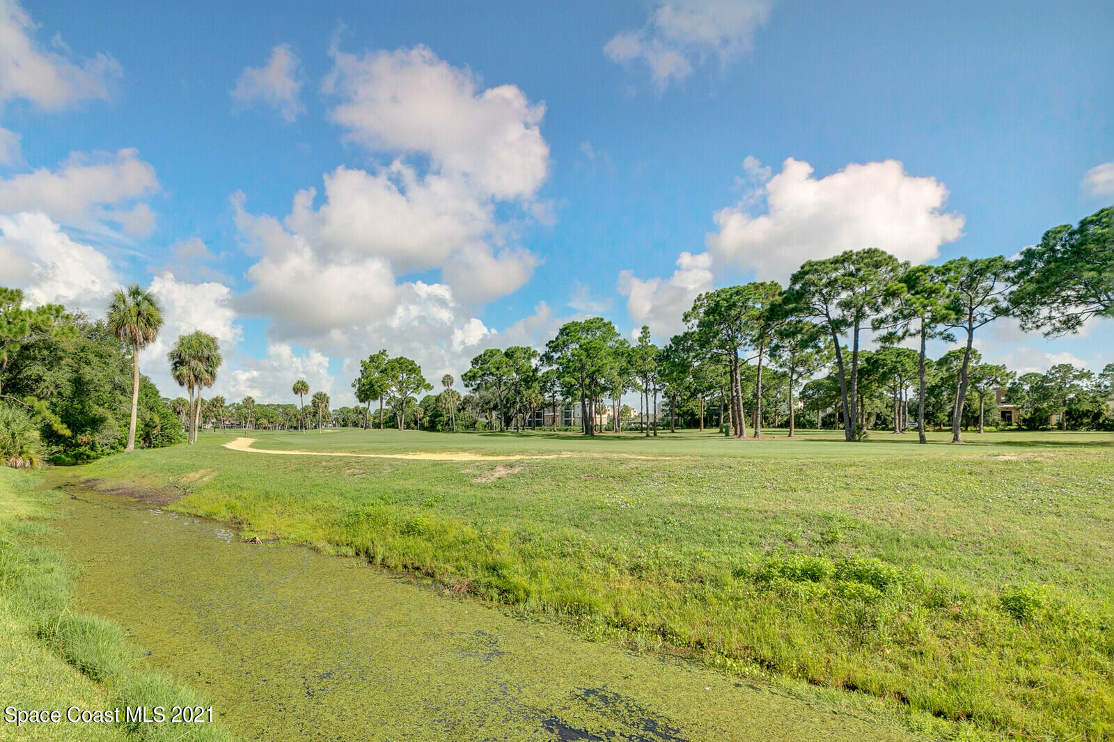 1398 Outrigger Circle Rockledge, FL 32955 - Photo 6 of 51 a big yard with lots of green space