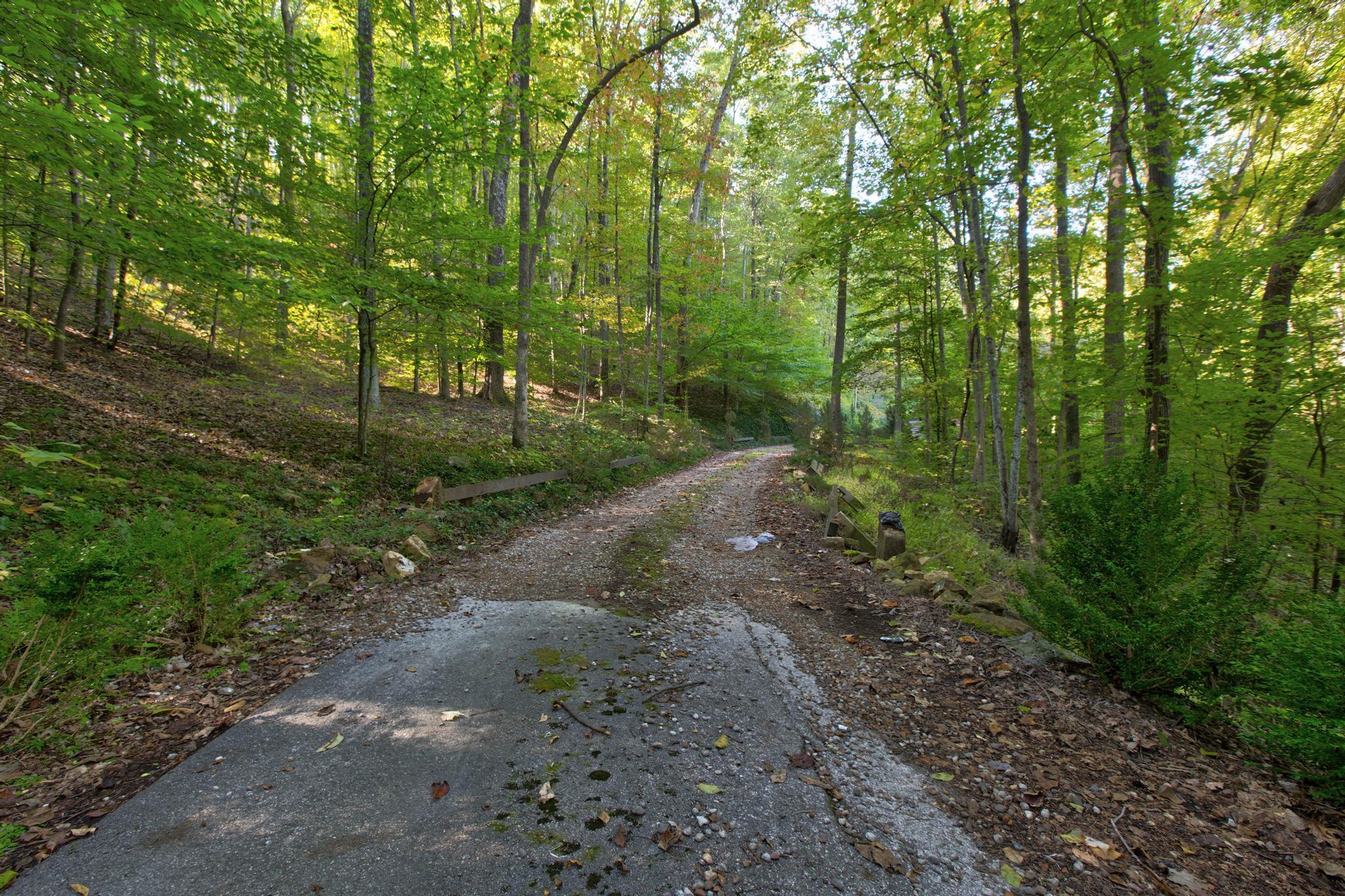 703 Elk Lick Road Olympia, KY 40358 - Photo 37 of 43 PWM29435_6_7