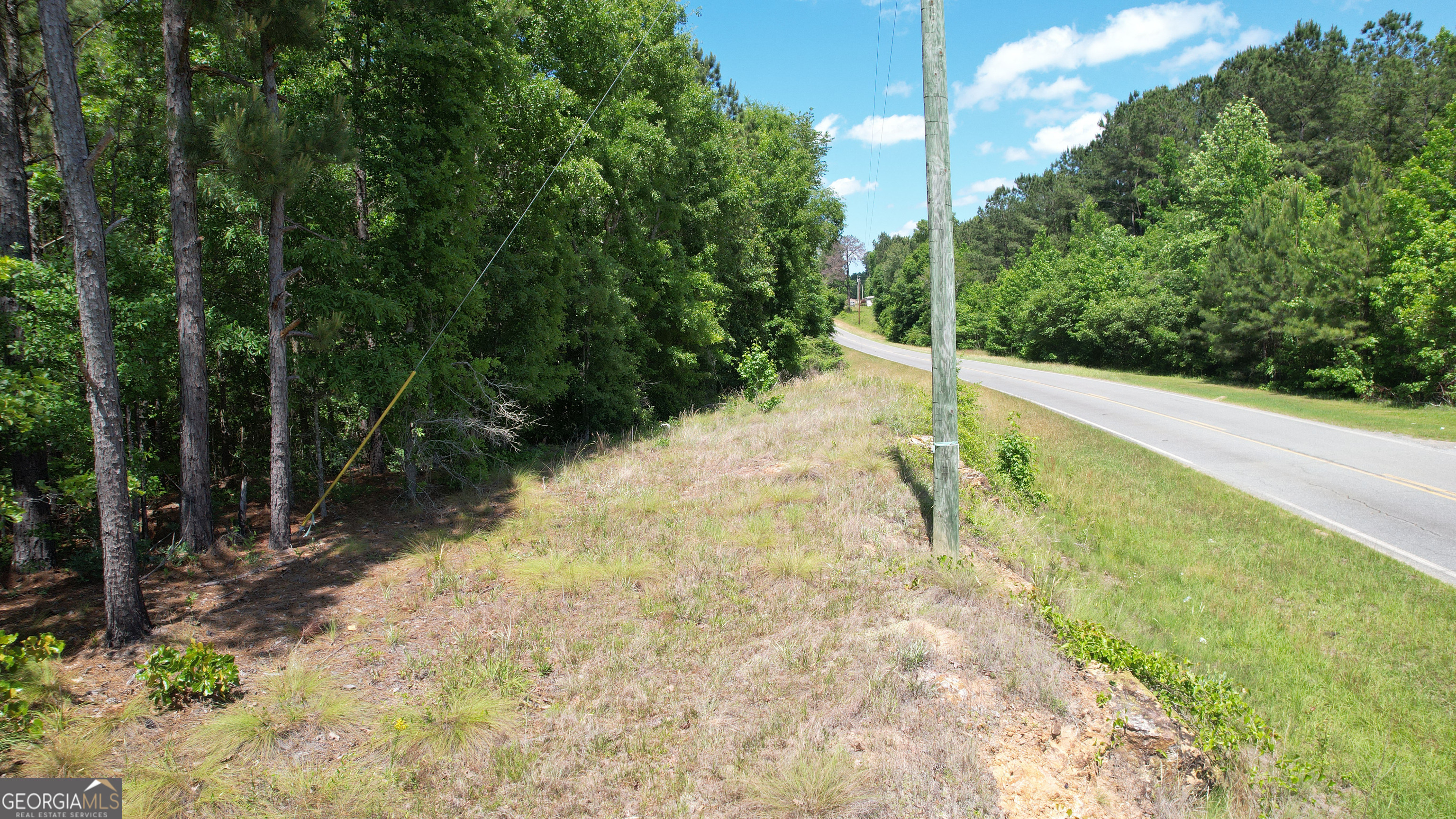Rose Lot Dublin Eastman Road Dexter, GA 31019 - Photo 4 of 17