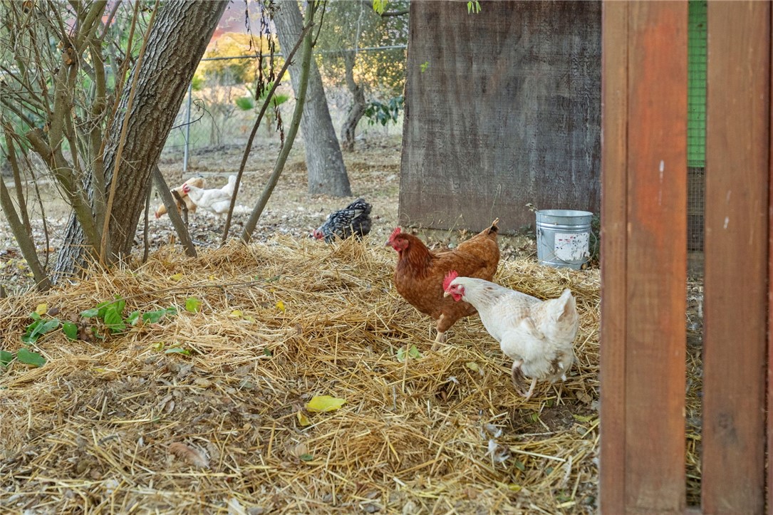 736 Del Valle Drive Fallbrook, CA 92028 - Photo 48 of 53 a bed room with a bed and a couch