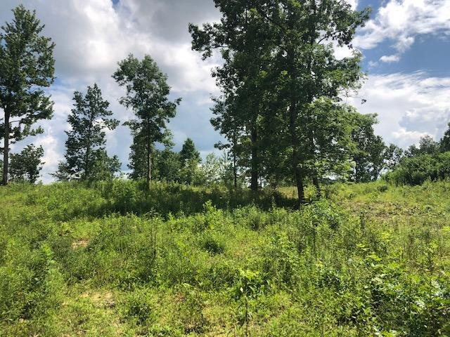 1111 Tidal Wave Road Corbin, KY 40701 - Photo 8 of 47 Photo 8