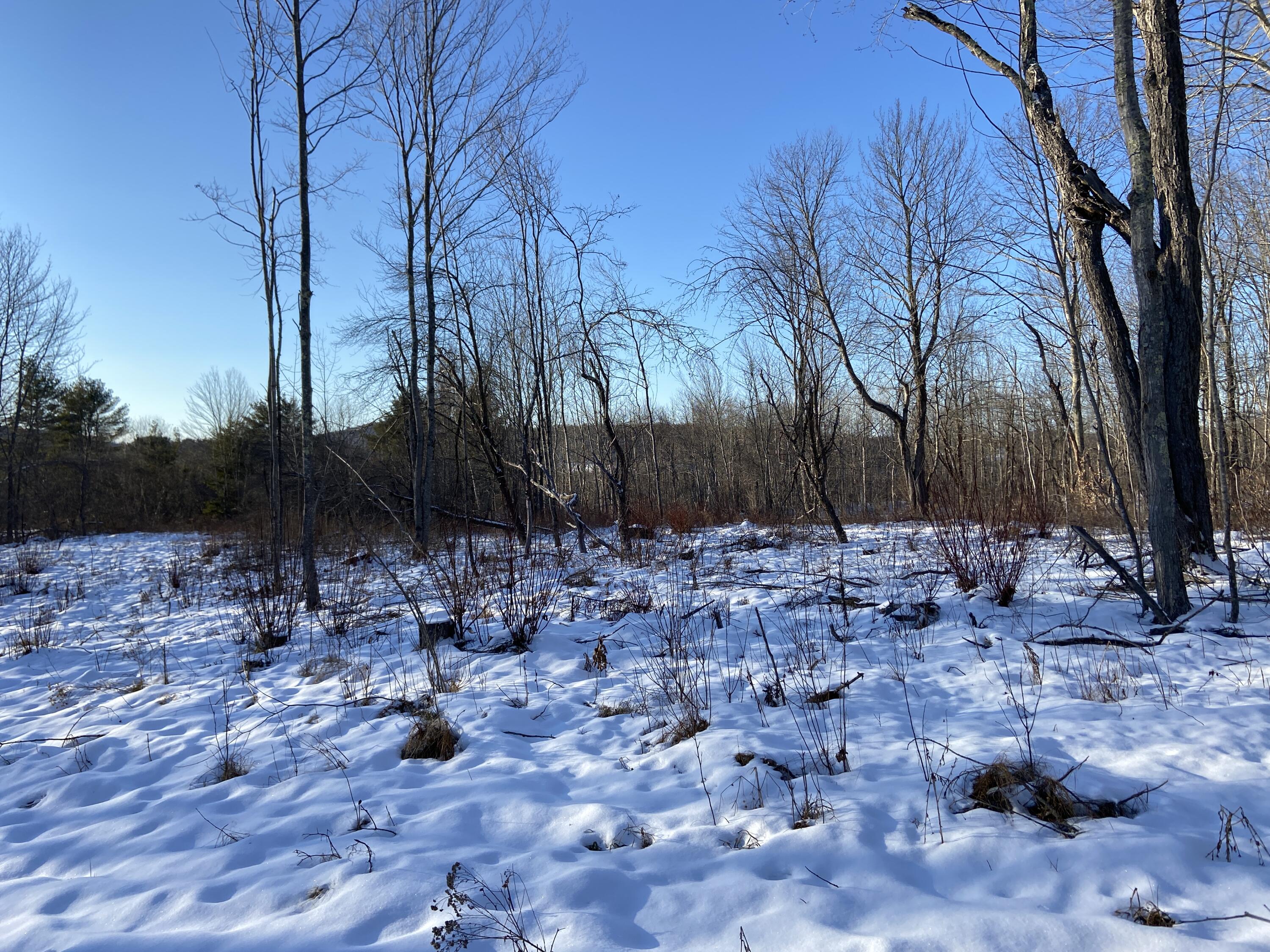 2.1-ac Lot Chandler Road Monroe, ME 04951 - Photo 4 of 5 25AEAC69-C5F9-4020-B8E5-45143A98E3CC