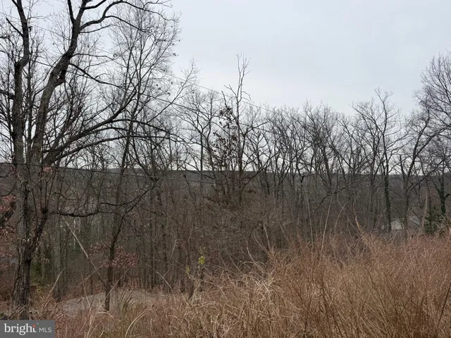 a view of a yard of the house