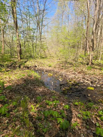 $149,900 | 4149 Hwy 49 Tennessee Ridge, Cumberland City, TN 37050