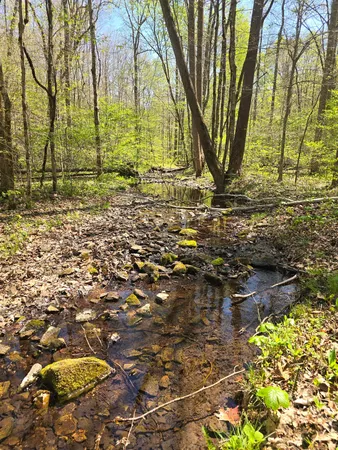 $149,900 | 4149 Hwy 49 Tennessee Ridge, Cumberland City, TN 37050