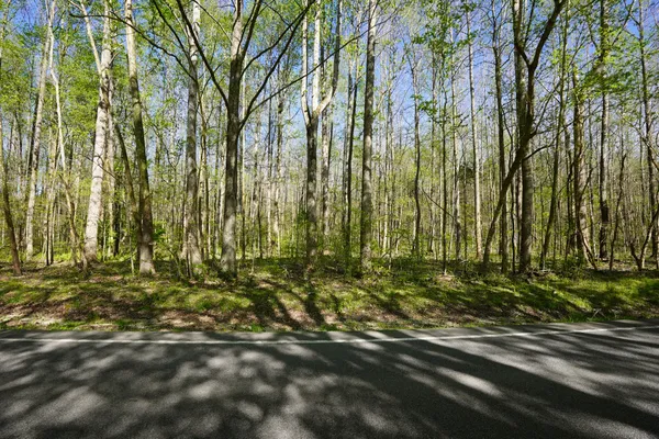 $149,900 | 4149 Hwy 49 Tennessee Ridge, Cumberland City, TN 37050