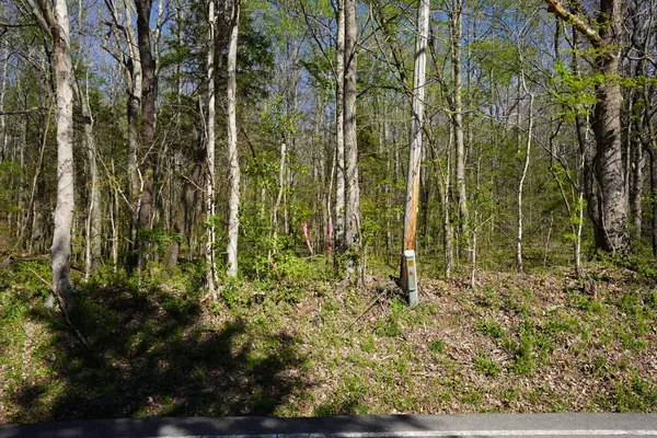 $149,900 | 4149 Hwy 49 Tennessee Ridge, Cumberland City, TN 37050