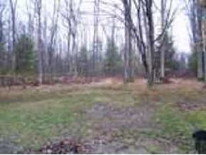 231 Dorman Road Binghamton, NY 13901 - Photo 3 of 12 Gallery Image 3