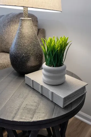 a view of a flower pot on a table