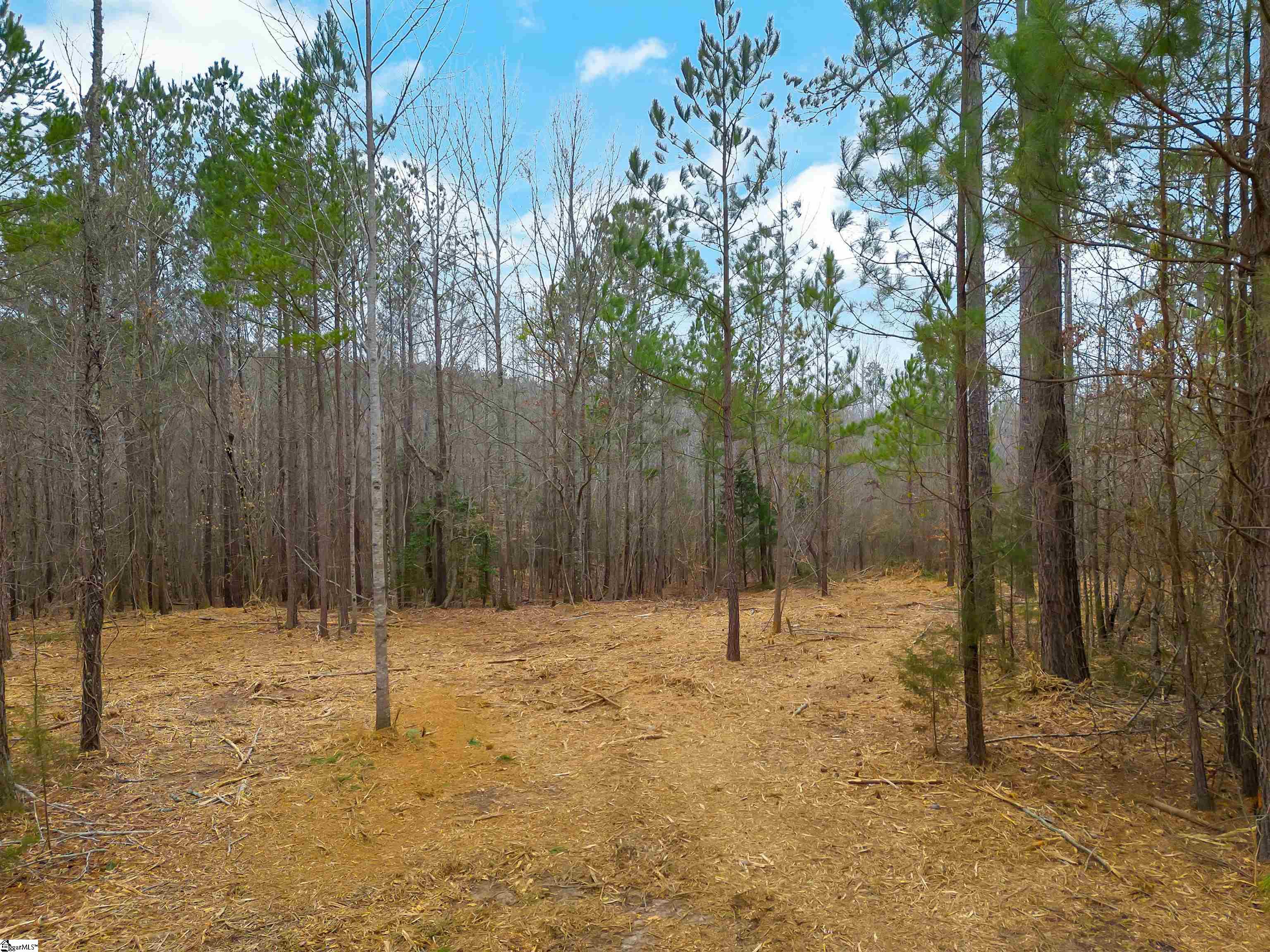 0 Mattison Road, Unit LOT 1 Belton, SC 29627 - Photo 8 of 16 Gallery Image 8