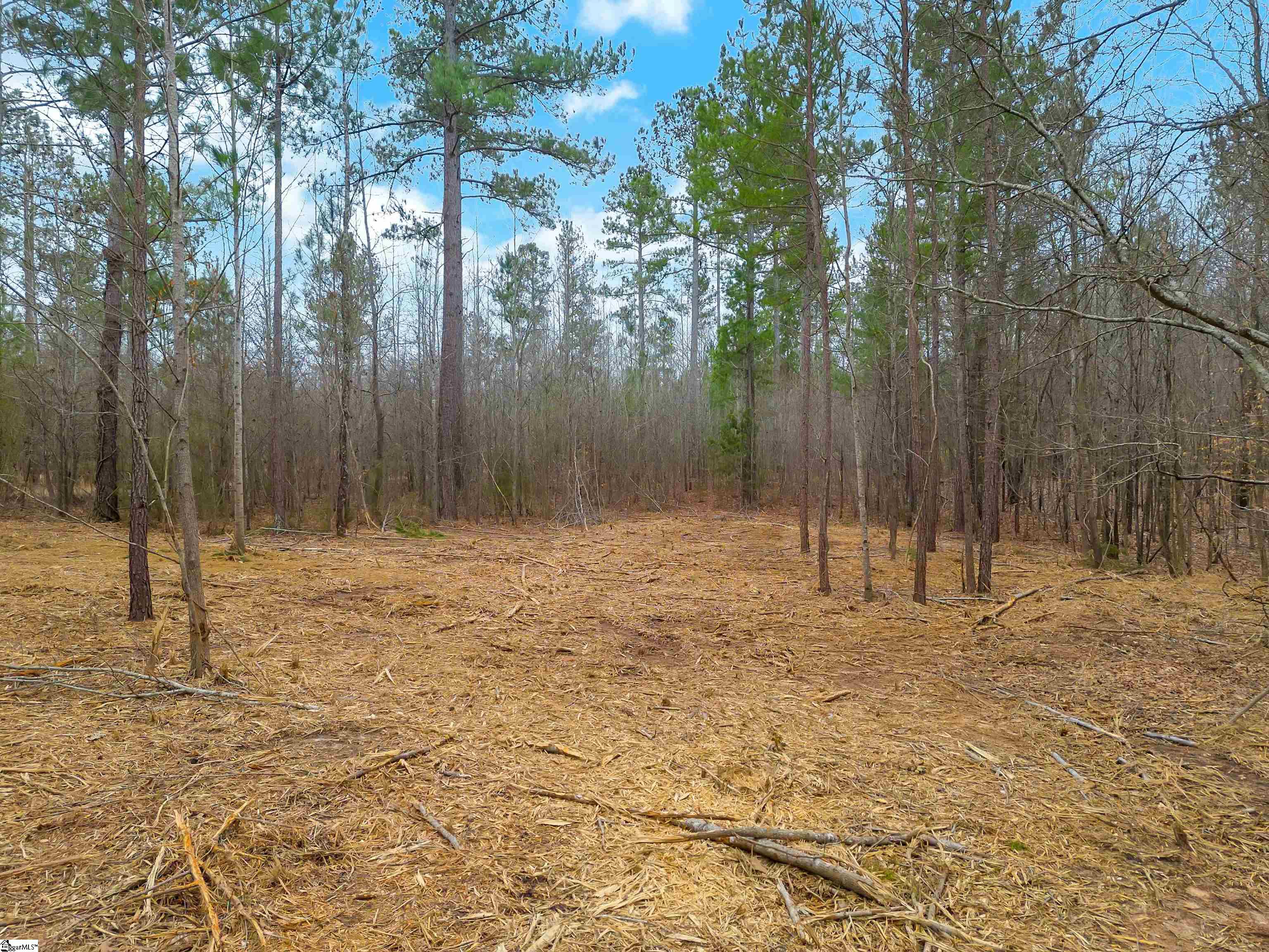 0 Mattison Road, Unit LOT 1 Belton, SC 29627 - Photo 10 of 16 Gallery Image 10