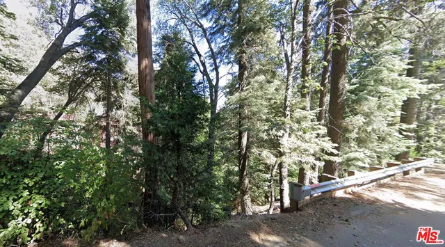 $55,000 | 0 Community Drive, Lake Arrowhead, CA 92352