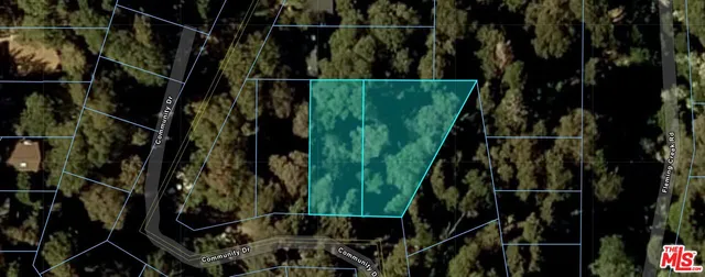 $55,000 | 0 Community Drive, Lake Arrowhead, CA 92352