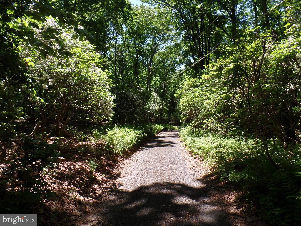 140 Etzler Road Frederick, MD 21702 - Photo 11 of 19 Secluded drive
