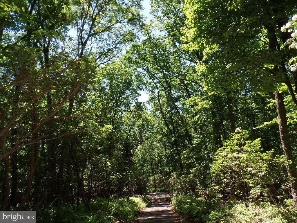 140 Etzler Road Frederick, MD 21702 - Photo 12 of 19