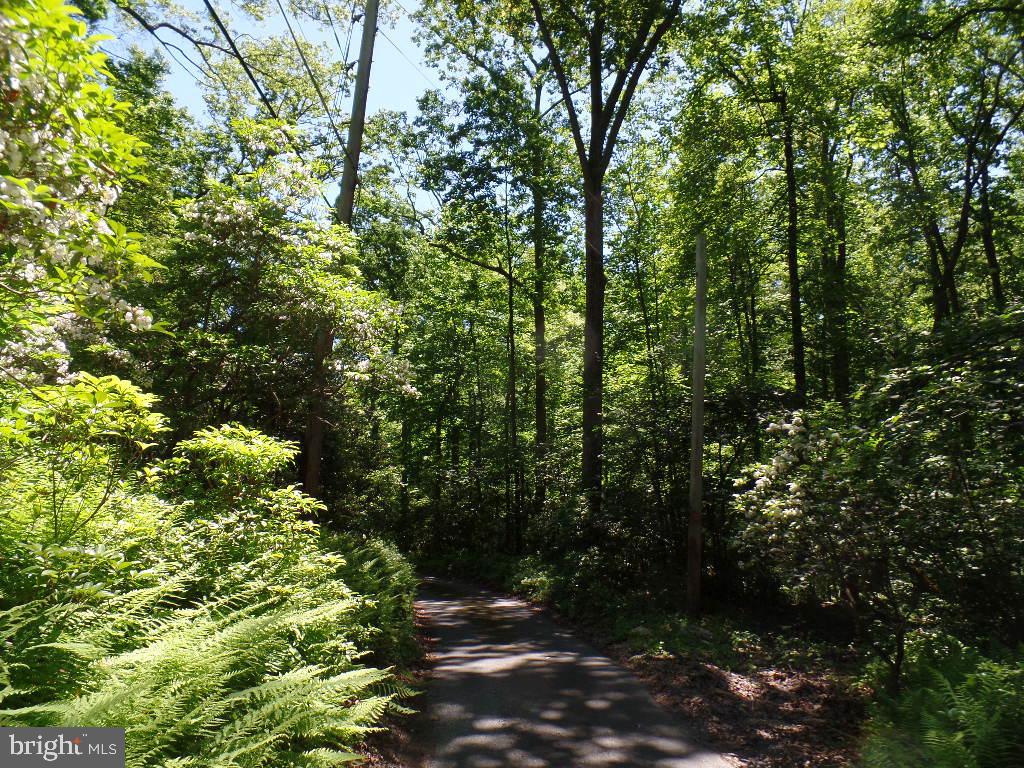 140 Etzler Road Frederick, MD 21702 - Photo 14 of 19