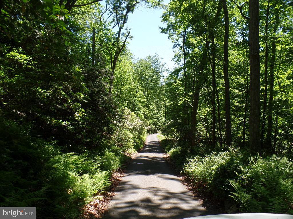 140 Etzler Road Frederick, MD 21702 - Photo 16 of 19