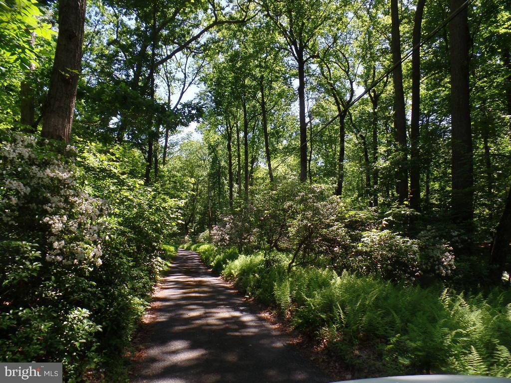 140 Etzler Road Frederick, MD 21702 - Photo 17 of 19 Awesome