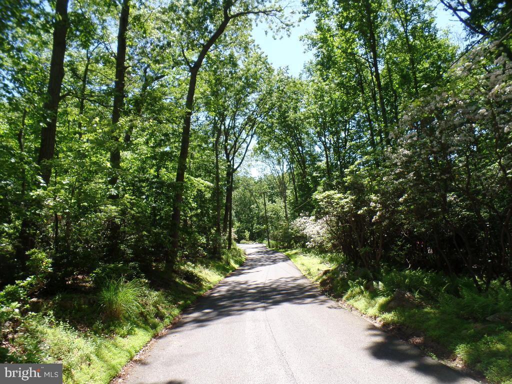 140 Etzler Road Frederick, MD 21702 - Photo 18 of 19
