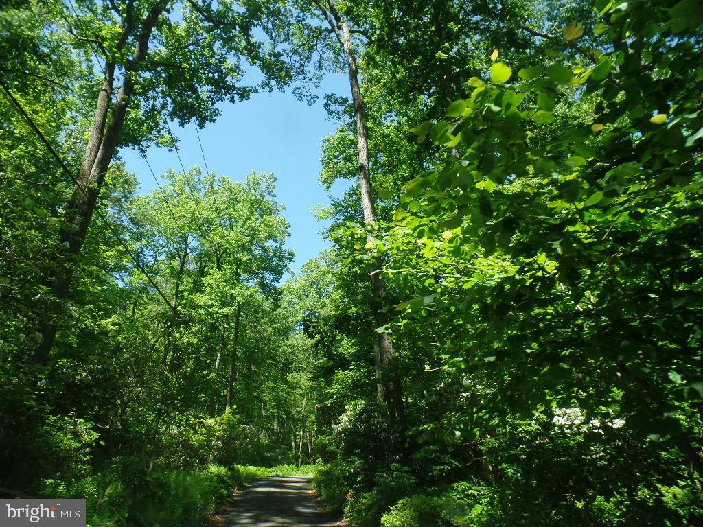 140 Etzler Road Frederick, MD 21702 - Photo 19 of 19 Drive to property