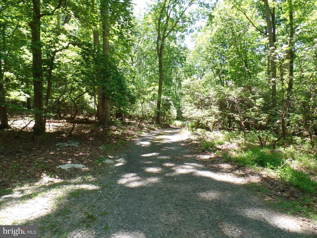 140 Etzler Road Frederick, MD 21702 - Photo 3 of 19