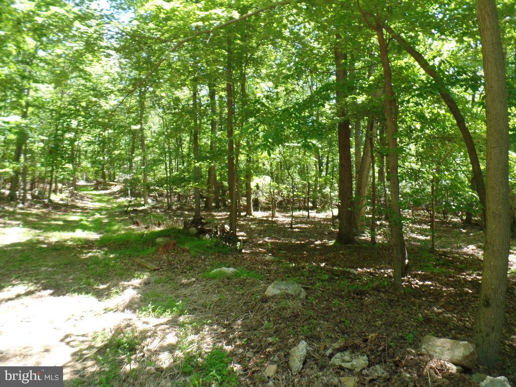 140 Etzler Road Frederick, MD 21702 - Photo 4 of 19 Park here