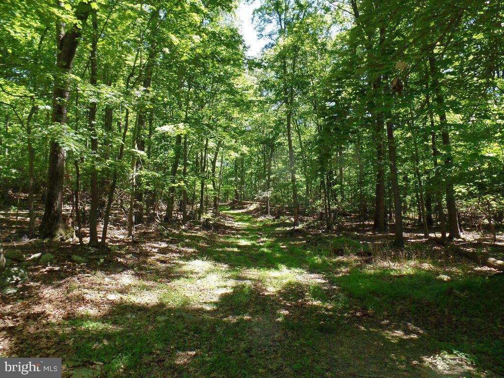140 Etzler Road Frederick, MD 21702 - Photo 5 of 19 Path to well head