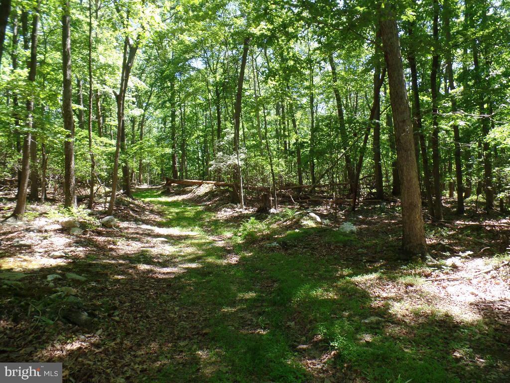 140 Etzler Road Frederick, MD 21702 - Photo 6 of 19 Path to well continued