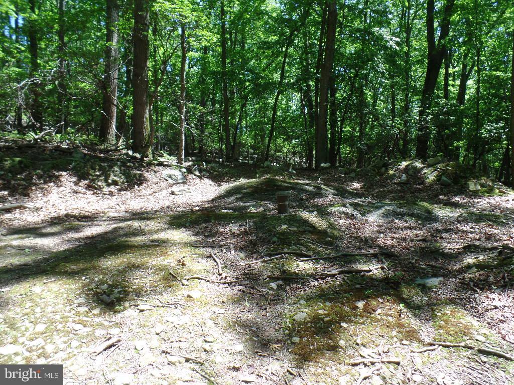 140 Etzler Road Frederick, MD 21702 - Photo 7 of 19 Location of well